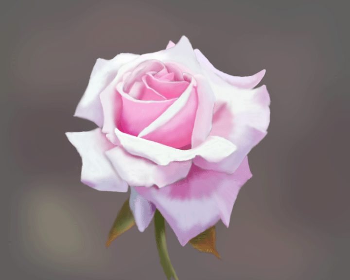 rose by rdf