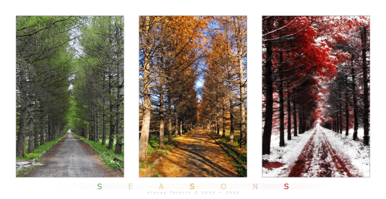 Three Seasons by Frider