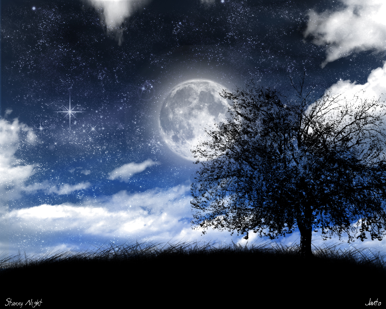 Starry_Night_by_JJGP.jpg