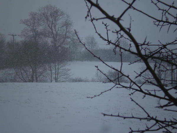 Snowy_Landscape_by_Happenstance67.jpg