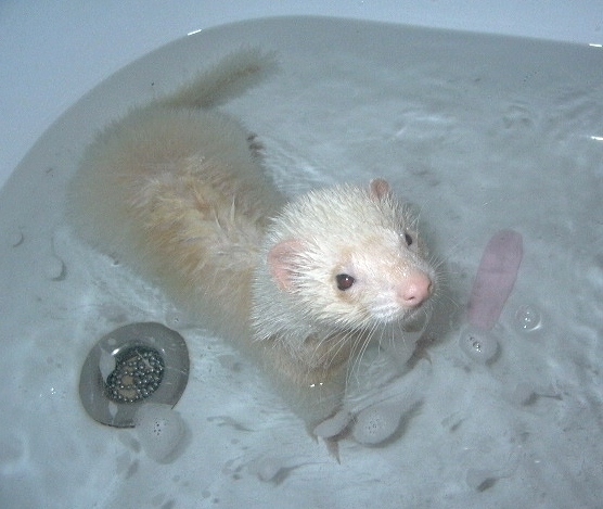 Bathtime by olpluvr