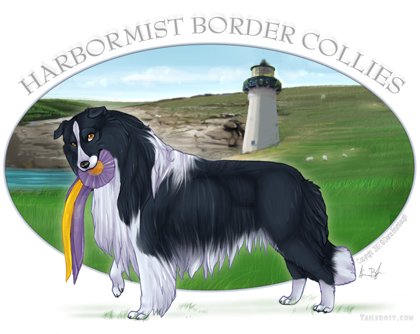 Border Collie Logo  com by tailfrost
