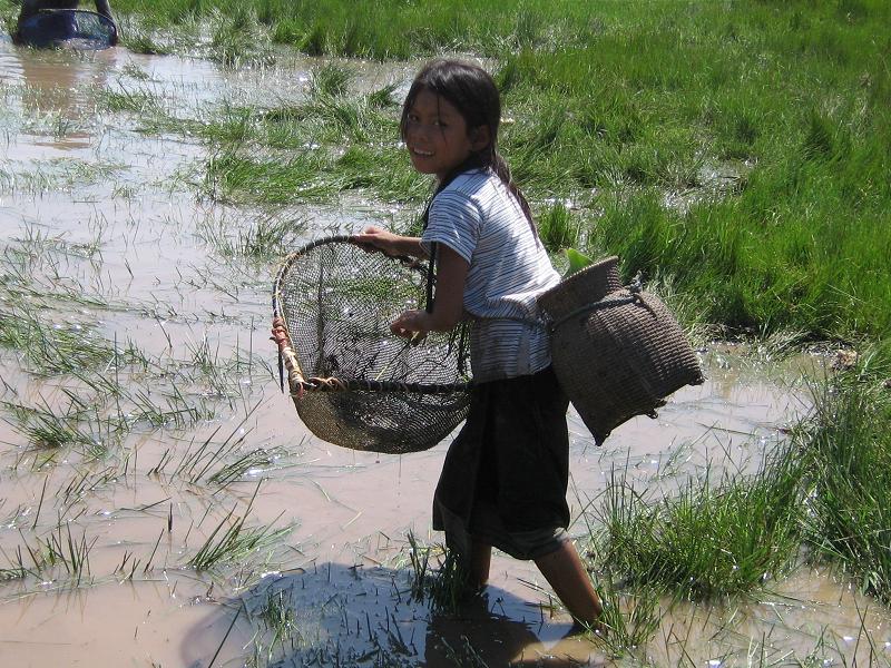 Laos_Girl_by_desertrose132.jpg