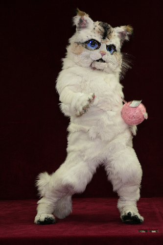 PurrsnicKitty_Kitty_Cat_Dance_by_LilleahWest.jpg