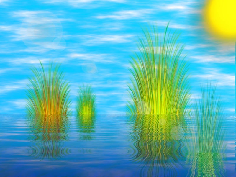 Water_Reeds_by_LJXD.jpg