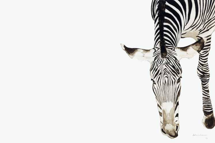 Zebra Watercolor by chahn19