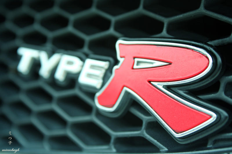 TypeR Logo