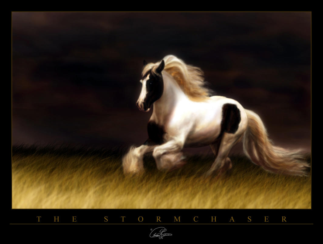 The Stormchaser by ChayaA