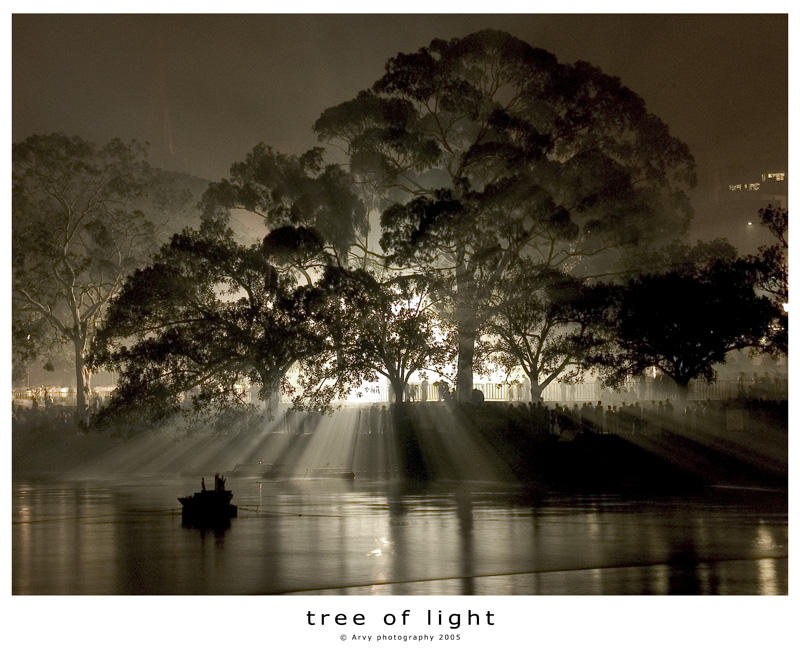 tree of light by l32