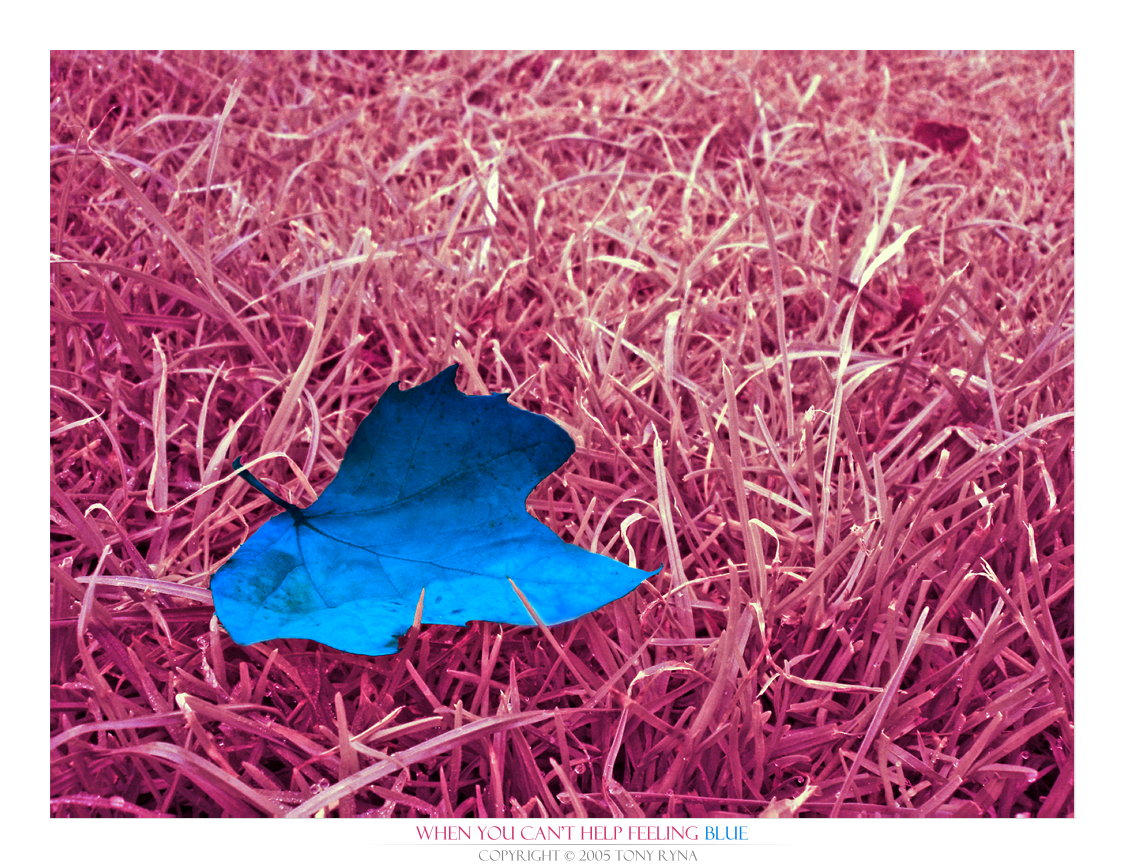 Feeling Blue by Tonyryna