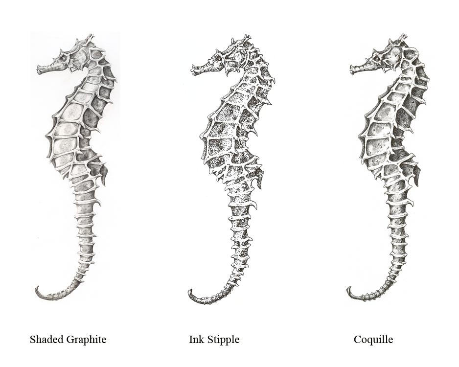 Hippocampus Specimen by wyrdgrendel