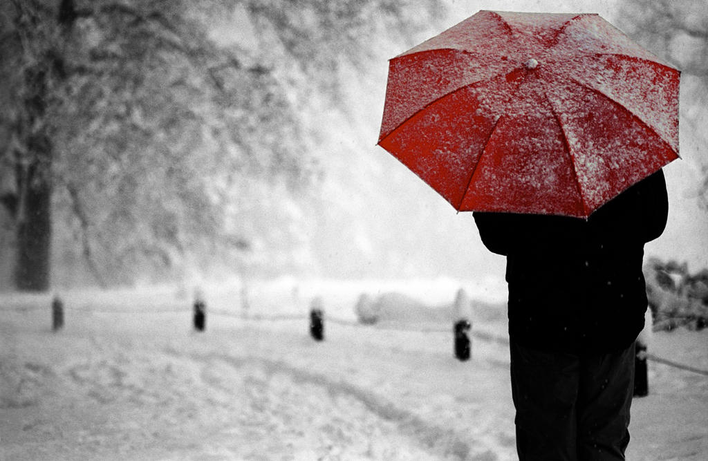 Red_umbrella.jpg